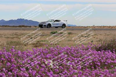 media/Jan-08-2023-SCCA SD (Sun) [[8f6a5b9391]]/Advanced Group/Session 2 (Short Straight)/